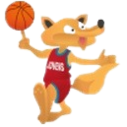 https://img.sxqgjx.org/img/basketball/team/02db543865099b04638d400b476bca7d.png