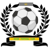 https://img.sxqgjx.org/img/football/team/6dc6d59af2f0962597b412473a6708ee.png